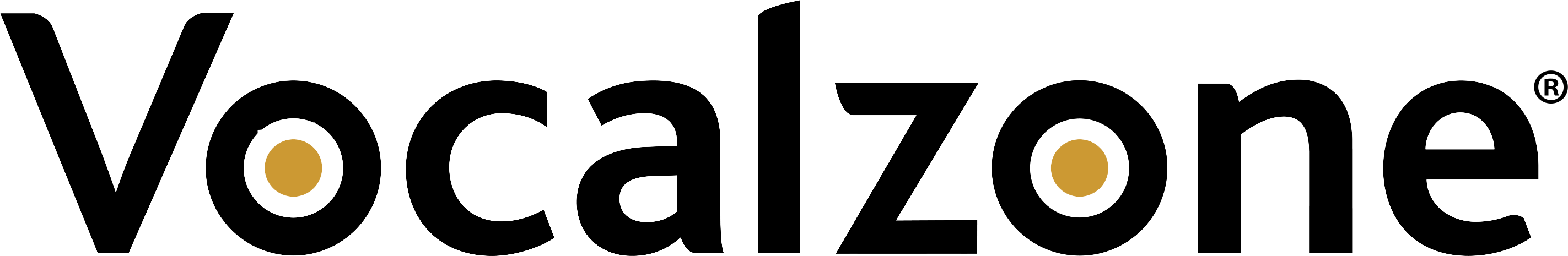 Vocal Zone Logo